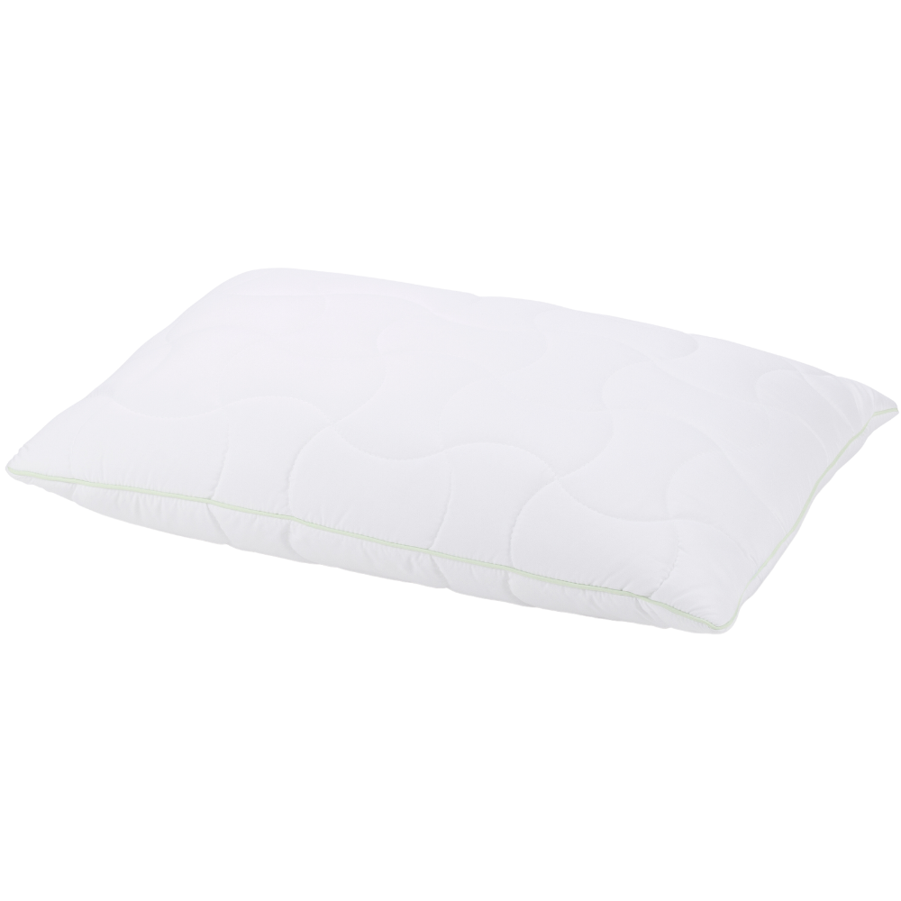 Aloe Vera Climafill Kissen 50x70cm