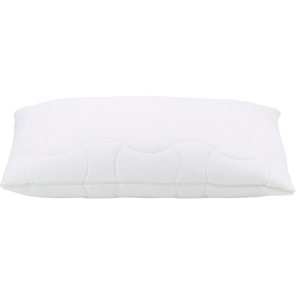 Aloe Vera Climafill Kissen 50x70cm