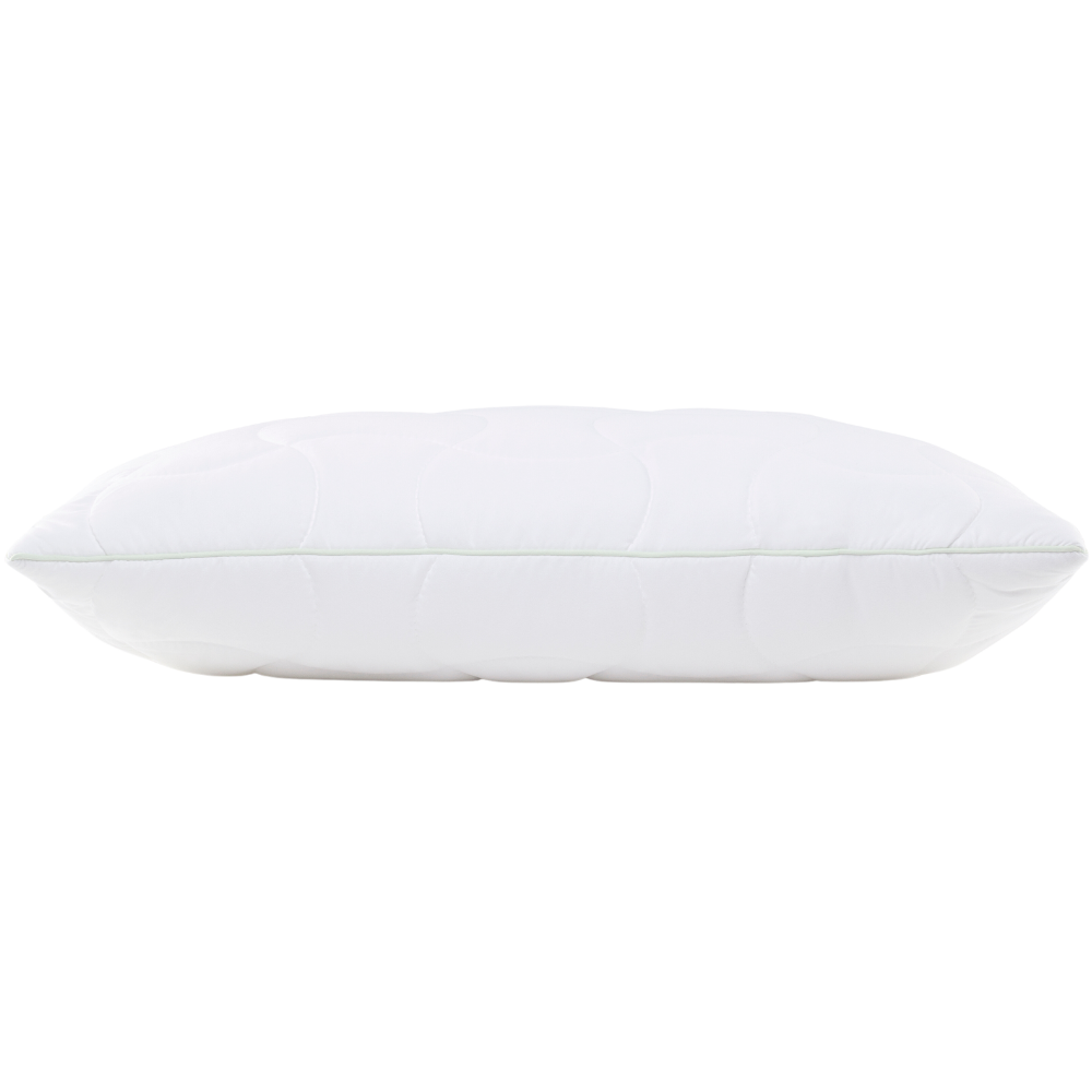 Aloe Vera Climafill Kissen 50x70cm